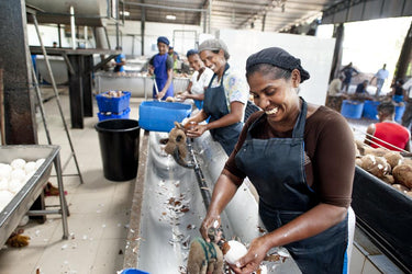 2006 - Projeto abrangente para que o fornecimento das principais matérias-primas provenha de projetos certificados de Comércio Justo.